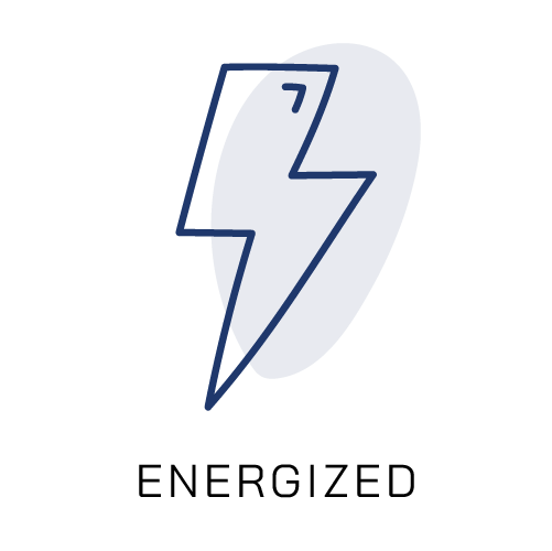 ZONE_Icons_energized
