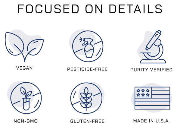 ZoneIn_Icons_All_no-full-spectrum